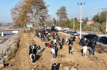 Düzce Üniversitesi’nden yeşil vatan için ağaçlandırma seferberliği 