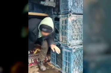 Düzce’de 7 düzensiz göçmen yakalandı 