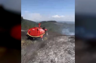 Düzce’de anız yangını ormana sıçramadan söndürüldü 