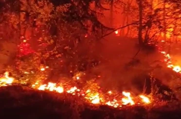 Düzce’de bir bölgede daha orman yangını çıktı 