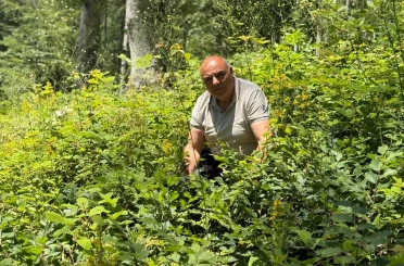 Düzce’de ormanlarda gençlik bakım çalışmaları sürüyor 