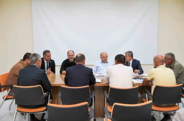 Düzce’de sokak hayvanlarının bakımı DİKAB’a devrediliyor 