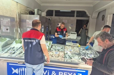 Düzce’de su ürünleri denetimi: Yasal boy altındaki 11 kasa balığa el konuldu 