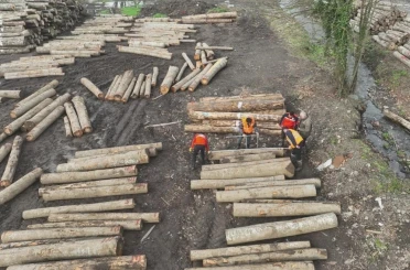 Düzce’den 23 bin 391,39 ton orman ürünü ihraç edildi 