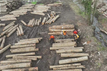 Düzce’den 3 bin 400 ton orman ürünü ihraç edildi 