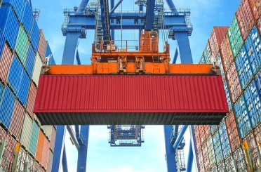 Düzce’den 4 bin 135 ton orman ürünü ihraç edildi 