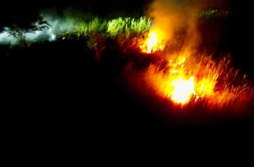 Eber Gölü’nde çıkan yangın sulak alana ulaşınca kendiliğinden söndü 
