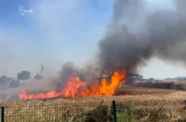 Edirne’de buğday tarlasında çıkan yangın söndürüldü 