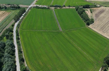 Edirne’de çeltiğe su bereketi: Rekolte 400 bin tonu aşacak 
