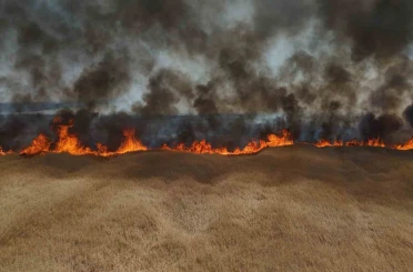 Edirne’de çiftçinin bir yıllık emeği küle döndü 
