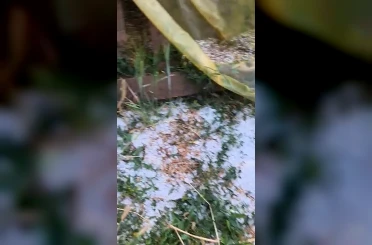 Edirne’de dolu yağışı etkili oldu 