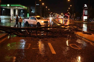 Edirne’de sağanak yağış ve rüzgar, ağacı devirdi 