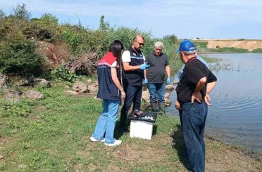 Edirne’de toplu balık ölümlerinin yaşandığı göletten numune alındı 