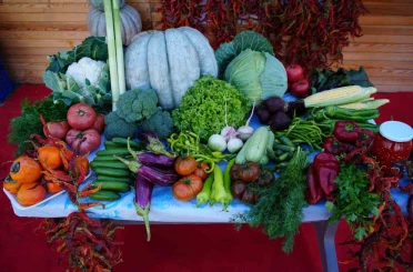 Edirneli üreticiler ata tohumundan ürettikleri ürünleri Millet Bahçesi’nde satışa sunuyor 