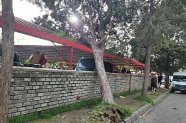 Efekent Pazaryeri’nde rüzgar ağacı devirdi 