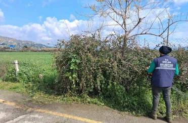 Efeler’in yeşil alanlarında temizlik çalışması sürüyor 