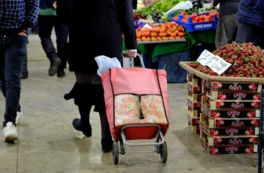 Ekonomiye güven kasımda artış gösterdi 