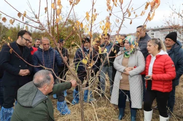 Elazığ’da ağaç budama ve aşılama eğitimi 