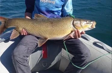 Elazığ’da amatör balıkçı 15 kiloluk dev turna yakaladı 