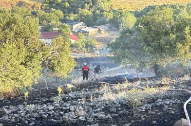 Elazığ’da arazi yangını 