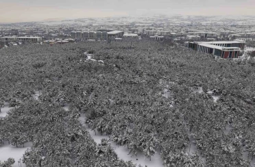 Elazığ’da beton yığınlarının arasındaki beyaz vaha mest etti 