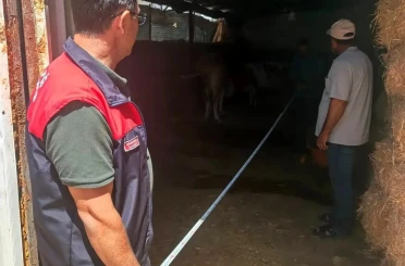 Elazığ’da büyükbaş işletmeleri denetlendi 