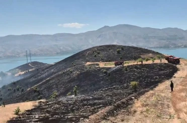 Elazığ’da çıkan arazi yangını söndürüldü 