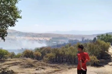 Elazığ’da çıkan yangın söndürüldü 