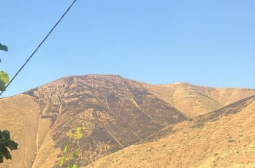Elazığ’da dağlık alanda çıkan yangın söndürüldü 