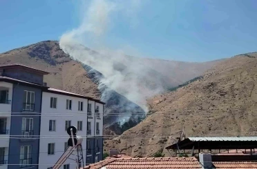 Elazığ’da dağlık alanda yangın 
