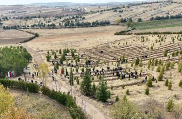 Elazığ’da Doğu Türkistan ve Filistin için fidan diktiler 