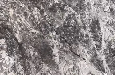 Elazığ’da domuz sürüsü görüntülendi 