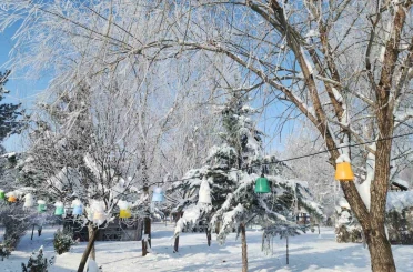 Elazığ’da dondurucu soğuklar: Karakoçan’da termometreler -22’yi gösterdi 