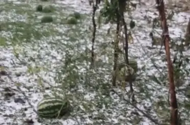 Elazığ’da fırtına ve dolu, tarım arazilerine zarar verdi