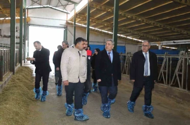 Elazığ’da hayvancılık altyapısı yerinde incelendi 
