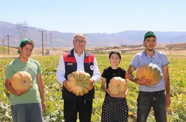 Elazığ’da kabak hasadı başladı: 4 bin tonun üzerinde rekolte bekleniyor
