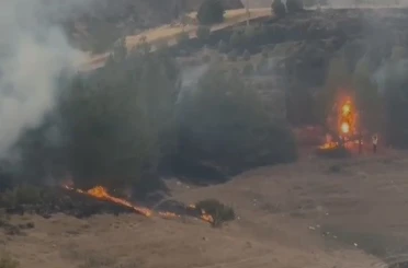 Elazığ’da kırsal alan yangını 