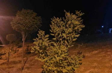 Elazığ’da kuvvetli rüzgar etkisini sürdürüyor 