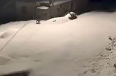 Elazığ’da nesli tükenmekte olan vaşak ailesi görüldü 