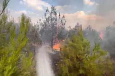 Elazığ’da ormanlık alanda yangın 