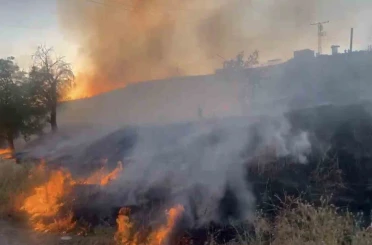 Elazığ’da otluk alanda çıkan yangın söndürüldü 