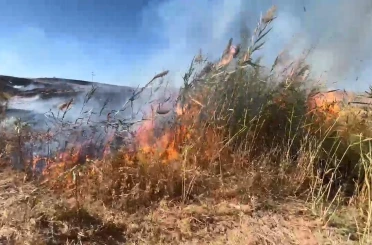 Elazığ’da otluk alanda yangın 