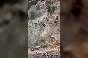 Elazığ’da sürü halinde dağ keçileri görüldü 