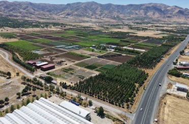 Elazığ’da üretilen milyonlarca fidan, ülkeye nefes oluyor 