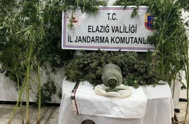 Elazığ’da uyuşturucuyla mücadele: 1 tutuklama 