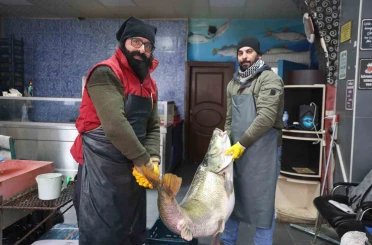 Elazığ’da yakalanan 78 kilogram ağırlığındaki turna balığını iki kişi zor taşıdı 