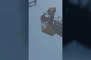 Elazığ’da yaralı leylek itfaiye tarafından kurtarıldı 