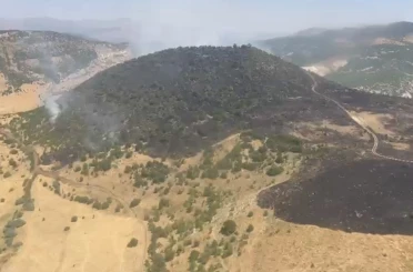 Elazığ’daki orman yangını kontrol altına alındı 