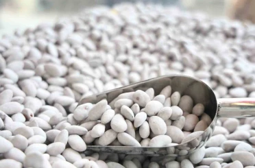 Elazığ’ın ‘Beyaz altını’ badem şekeri 