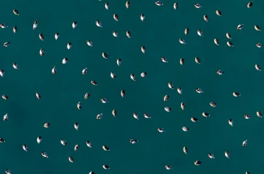 Elmabaş patka ördekleri Salda Gölü’nde havadan görüntülendi 